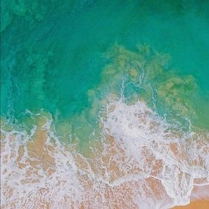 Meet your Posher, Tim